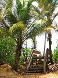 Chatarra Beach - LOÍZA